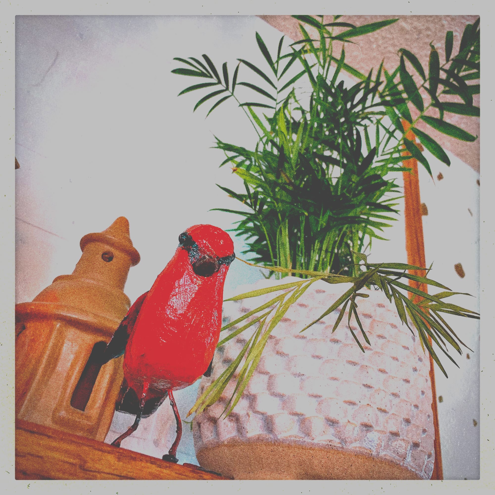 From Calgary to Your Living Room with Love